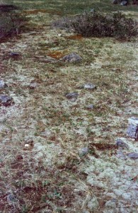 figure 9 lichen covered rock pavement
