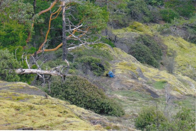 Comox Lake Bluffs