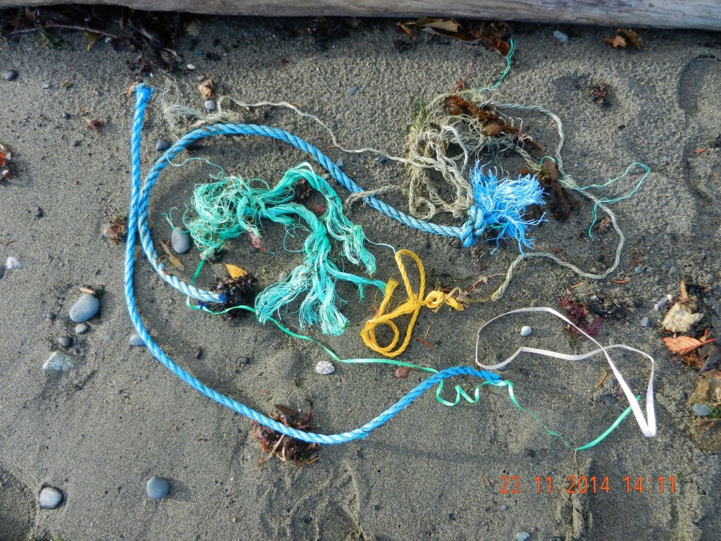 Plastic rope debris on Taylor beach 